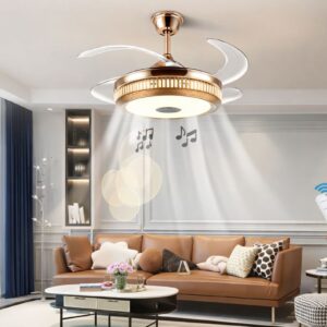 Decorative Smart Ceiling Light & Fan Combo SAN TF045