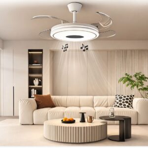 Minimal Decorative Ceiling Light Fan Combo SAN TF046