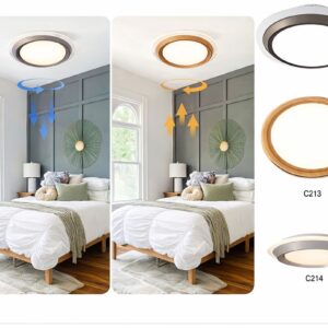 Ceiling Light with Integrated Airflow SAN C213-500